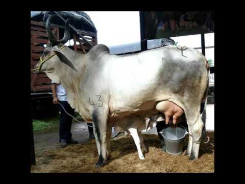 Llano en verano e invierno