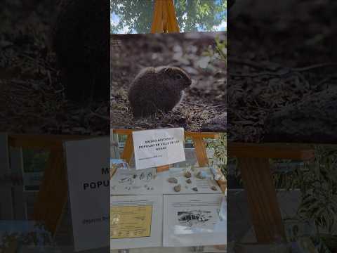 ✨️Turismo "Villa de las rosas" 🌹 #traslasierra #cordoba