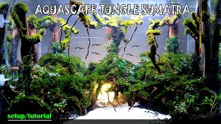 MOSS JAVA CARPET AQUASCAPE