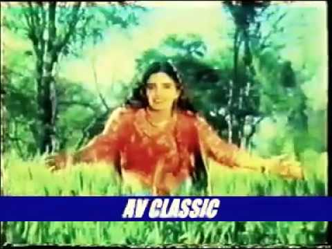 Tu Tumba Main Taar Noor jehan babar mayo