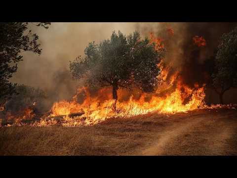 Live: Latest on raging wildfires in Greece