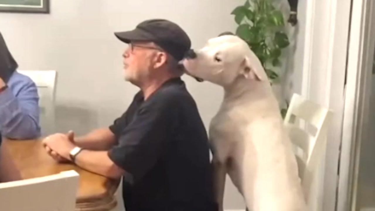Dog insists on loving grandpa