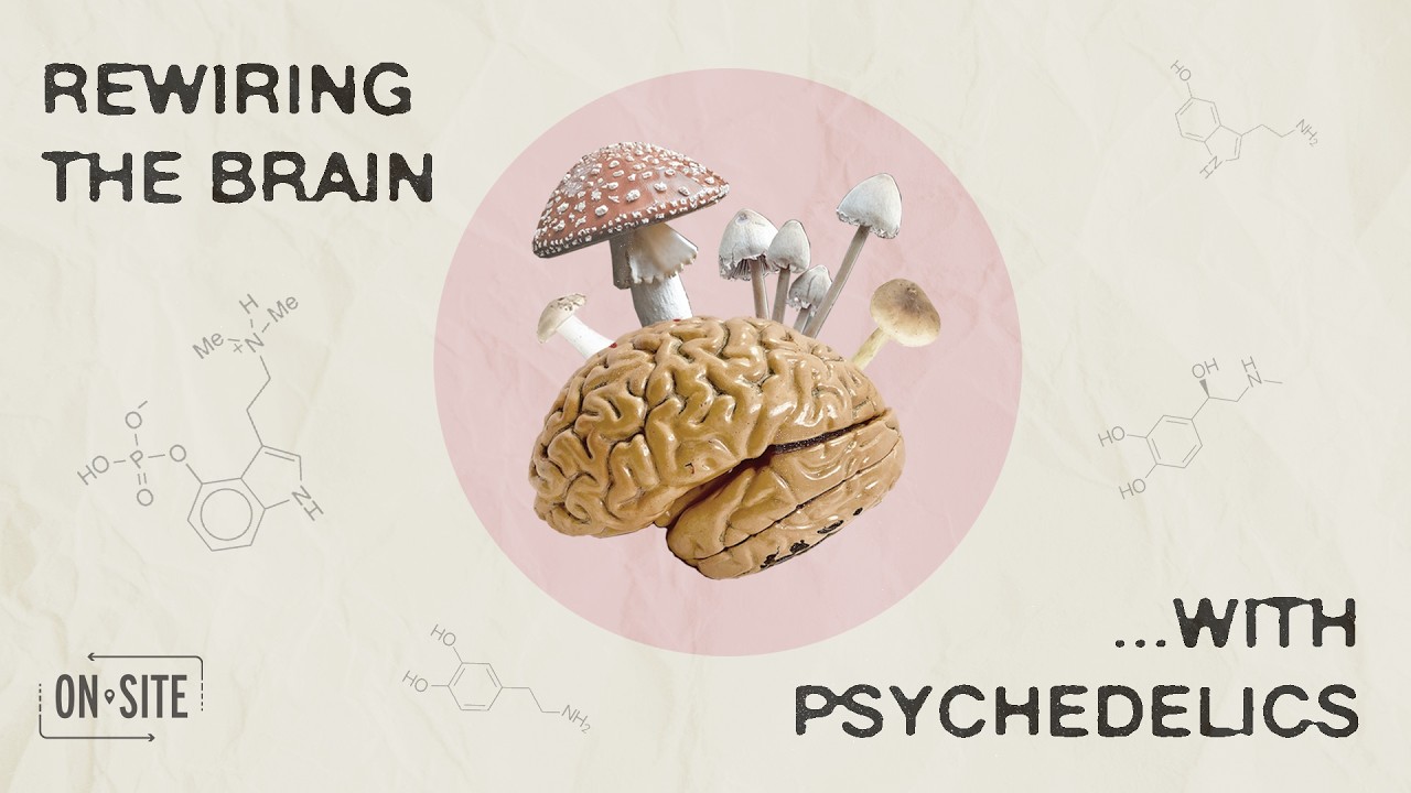 The Magic of Mushroom Therapy | ONsite
