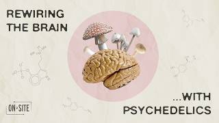 The Magic of Mushroom Therapy | ONsite