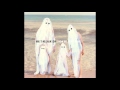 Matt Nathanson - Adrenaline [AUDIO] 