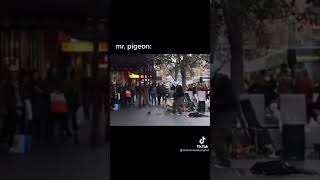 miraculous ladybug villains as vines.