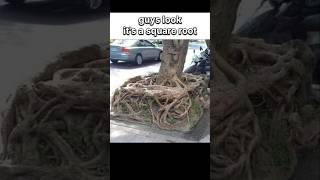 Download lagu check the sound #music #trending #anime #memes #relatable #trendingshorts #funny mp3 Download lagu check the sound #music #trending #anime #memes #relatable #trendingshorts #funny mp3