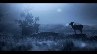 Gilbere Forte - Nolita (The Ninetys Edit)