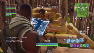 ps4ばぐってます