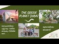 GREEN PLANET DUBAI | INDOOR RAINFOREST | MALAYALAM VLOG| 2021 |TOURIST DESTINATION | 4K |DXBMALLUFAM