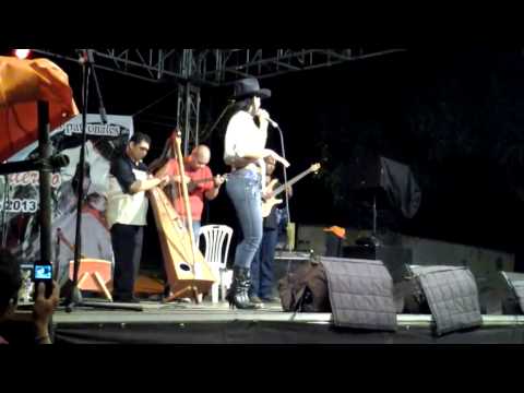 Ferias  De Zuata 2013   Cimarron Araucano (Mary Acosta)