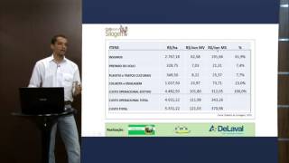 Custo de produção - Silagem de milho