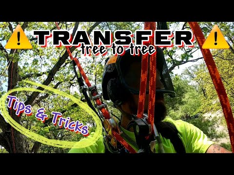 ❓Fly, Float, Or Fall❓/ 😱Tree To Tree Traversing😱