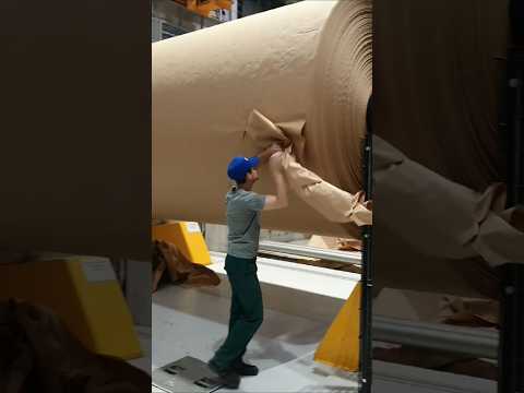 КАК ДЕЛАЮТ БУМАГУ? Полный цикл производства: от дерева до  пакета.