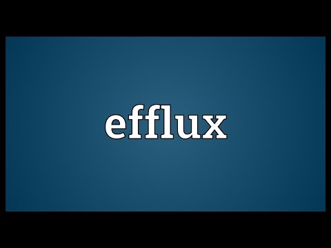 Efflux Meaning