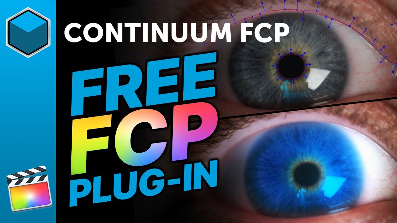 Continuum FCP 2022: Free BCC+Looks