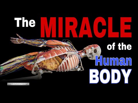 Wow! The Miracle of the Human Body! A stunning video! you will be amazed.