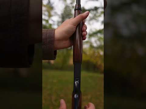 Browning Bl22 lever action .22