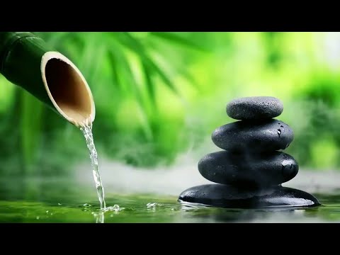 Relaxing Piano Music Healing & Bamboo Water Fountain 24/7 自然の音とともに音楽をリラックス バンブーウォーターファウンテン 【癒し音楽BGM】