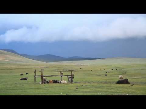 Amar tuvshin Batmyagmar