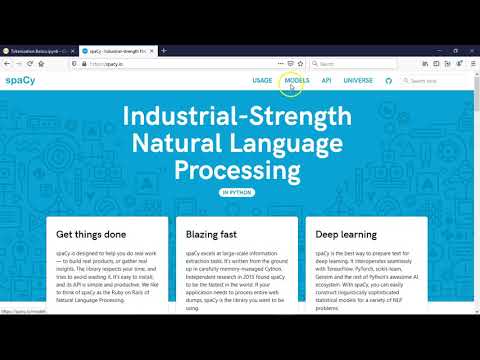 Tokenization Basics with NLP Spacy : Natural Language Processing - 1