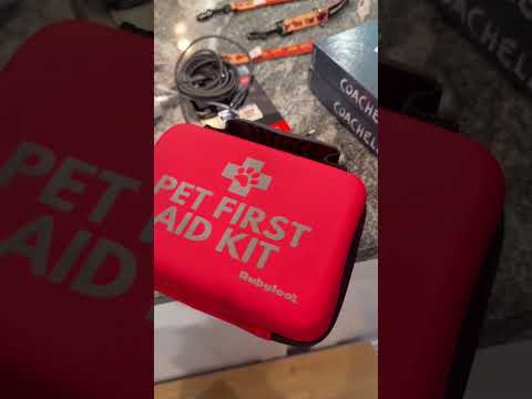 ROADTRIP WITH 10 WEENS 🚗