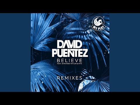 Believe (feat. Shawnee Taylor & MTS) (FAB! Remix)