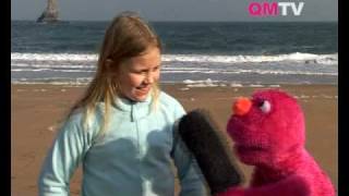 Quizzie Monster's Guide to Pembrokeshire | Broadhaven South Beach