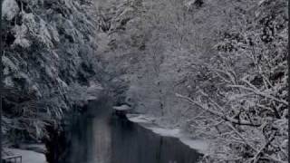 My Shameful- This Hate