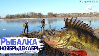 Какая рыба клюет по первому льду