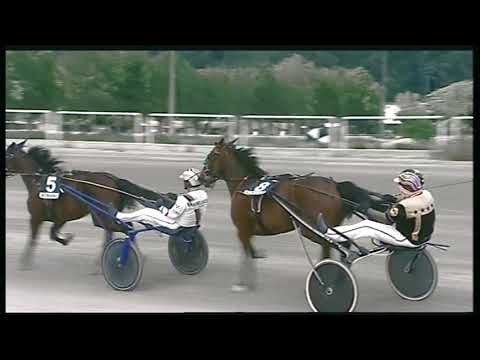 Trotto 31/05/2020 - 7ª corsa