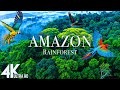AMAZON 4K The World S Largest Tropical Rainforest Relaxing Music With Beautiful Nature Scenes