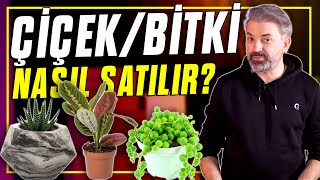 NASIL SATILIR: CANLI ÇİÇEK