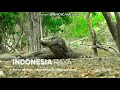 Sign On Indosiar Indonesia Raya 2021 Sekarang Dengan Station ID Indosiar 27 Tahun 2022