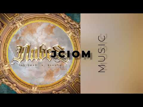 Indiomar x Blanca - Nubes