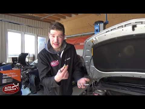 Opel 1.7 CDTI sägender unrunder Leerlauf | Zumesseinheit der Einspritzpumpe wechseln | DIY Tutorial