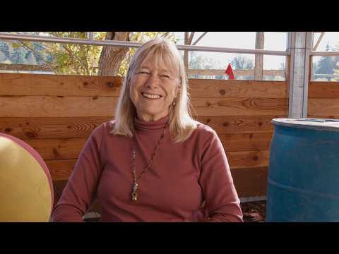 Emotional Support Horses: Unbridled Spirit