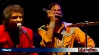 WILCO - HANDSHAKE DRUGS