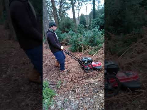 22″ Wheeled Trimmer - Image 2