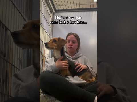 We named her Lucy. We were lucky to find her. #dog #rescuedog #dogrescue #rescue #puppy