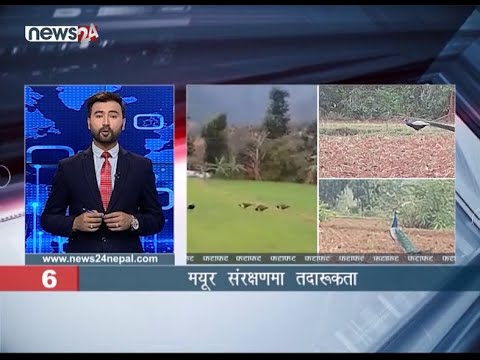 MORNING NEWS FATAFAT - NEWS24 TV