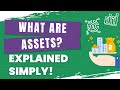 What Are Assets Explained With Examples