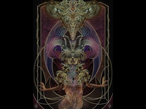 Kasatka - Braindance