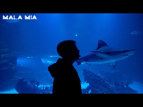 Dirty Suc - Mala Mía (Prod. Dsimone) [VISUALIZER]