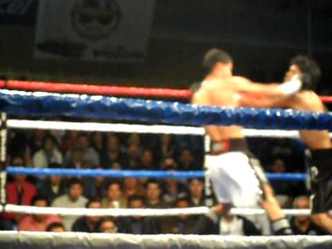 gilberto parra primera pelea profesional del vatillo 1er round