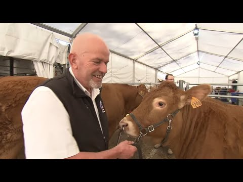 , title : 'L'incroyable concours de la vache la plus chère d'Europe'