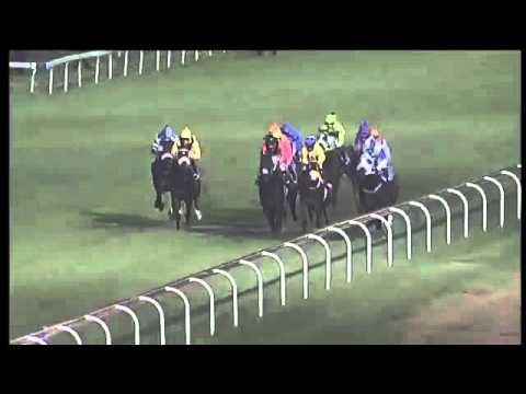 2016.04.30 Camellia Stakes (RSA) - Joan Ranger