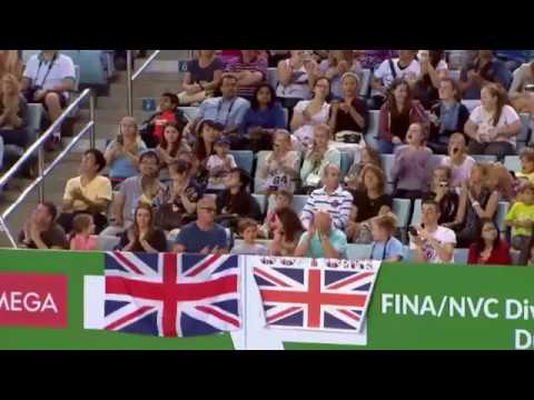 2015 World Series Dubai - Men's 10m Platform Final