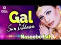 Gal Sun Dildara Naseebo Lal Slowed Gal Sun Dildara Naseebo Lal Mehak Gal Sun Dildara Naseebo Lal