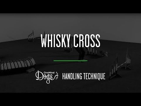 Whisky Cross Agility Handling Technique